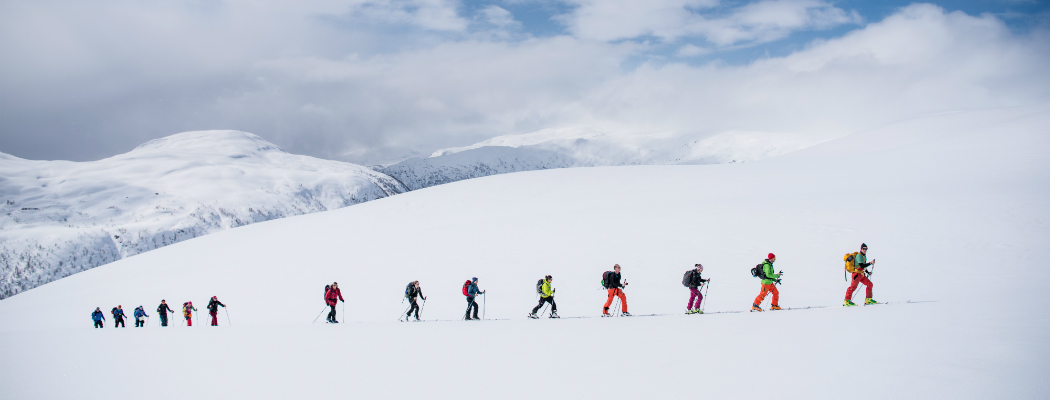 Beeld: Sverre F