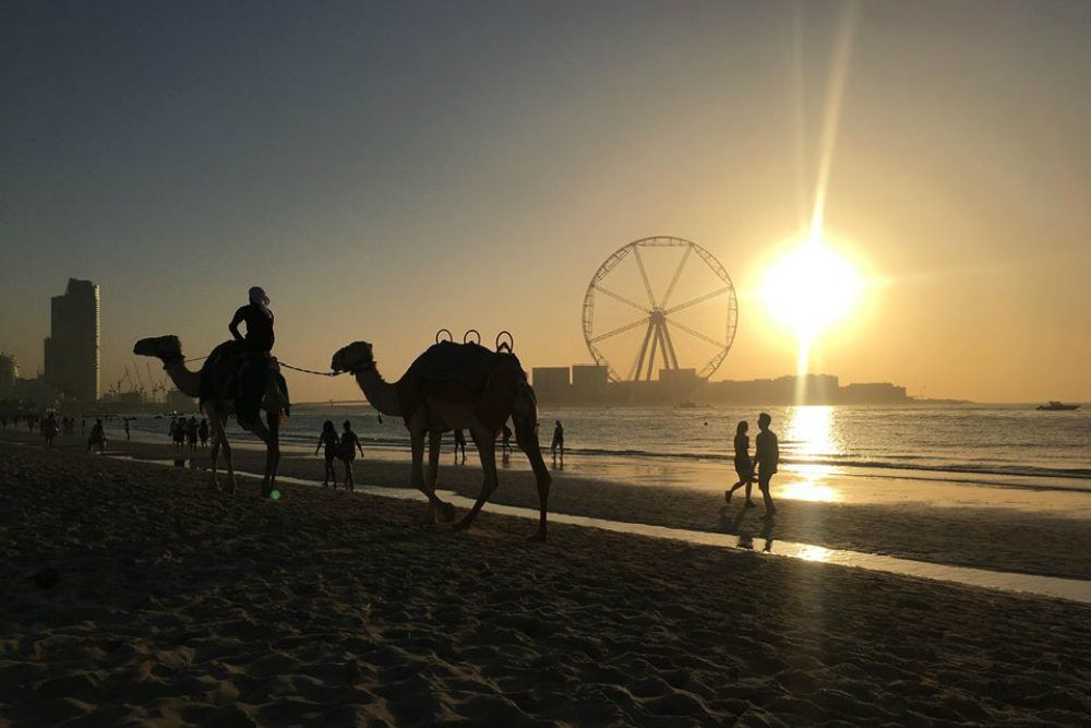 Beeld: Glenda - CityZapper