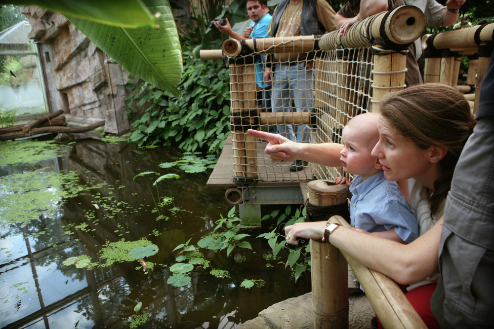 Beeld: Layla Aerts