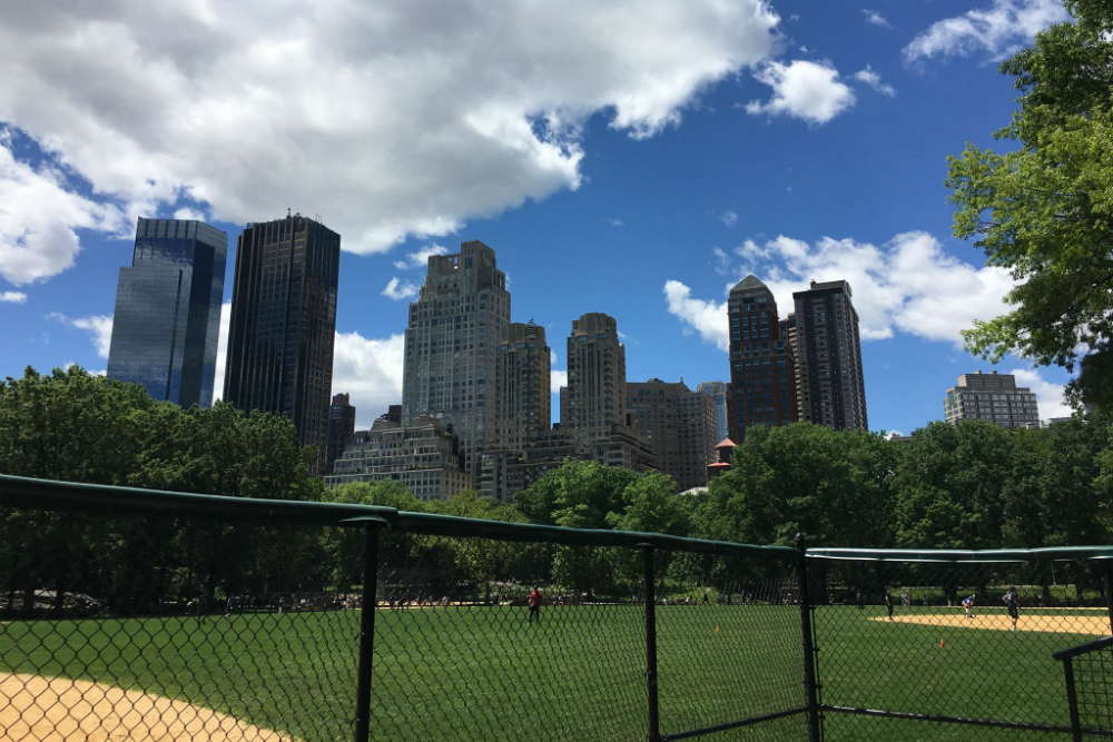 Central Park. Beeld: CityZapper - Glenda Kregel